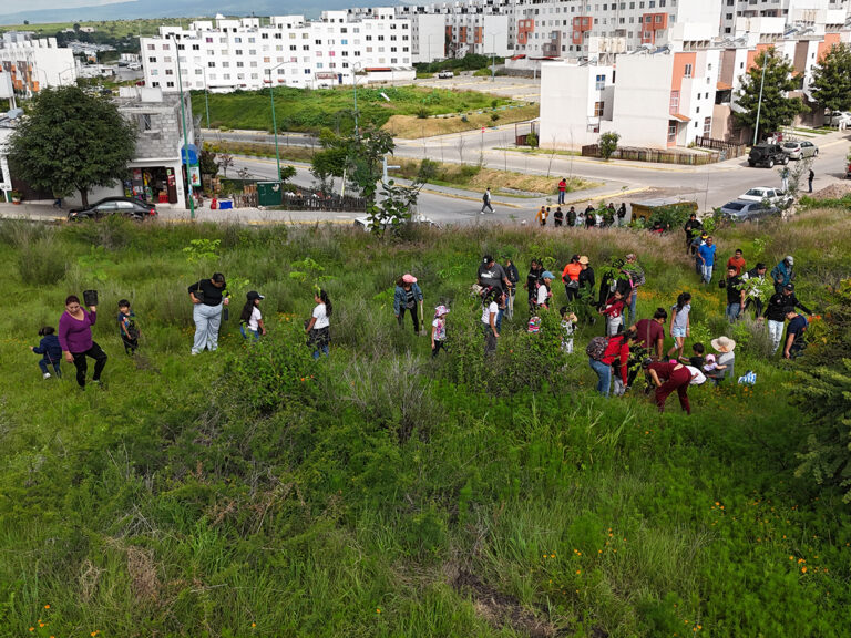 Reforestación en Villas Oriente, Grupo Herso.
